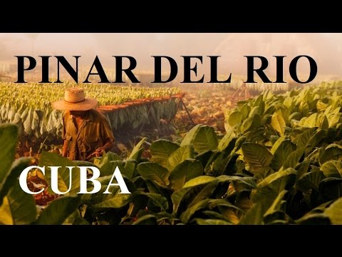 Pinar del Rio / Cuba ( Viñales Valley,Cigar Industry)