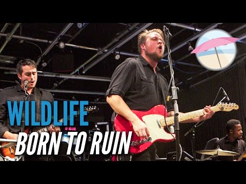 Wildlife - Born To Ruin (Live at the Edge)