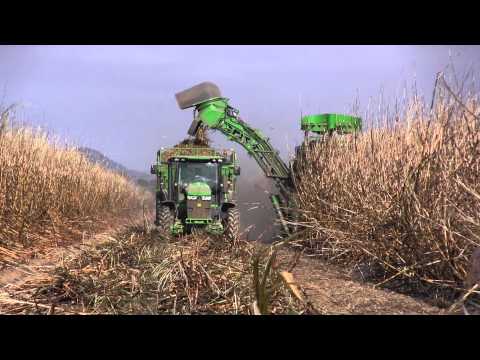 Sugar cane harvester in Australia