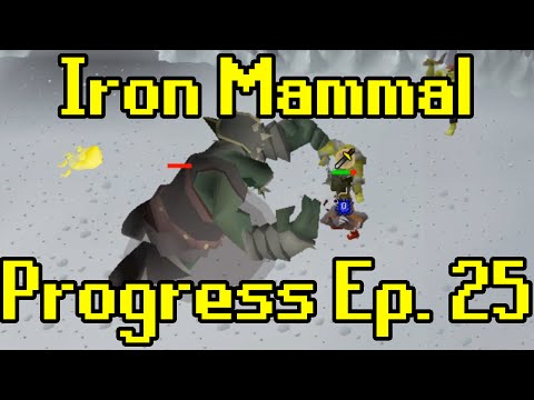 Oldschool Runescape - 2007 Iron Man Progress Ep. 25 | Iron Mammal