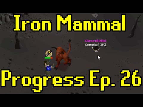 Oldschool Runescape - 2007 Iron Man Progress Ep. 26 | Iron Mammal