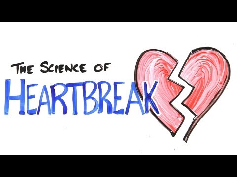 The Science of Heartbreak