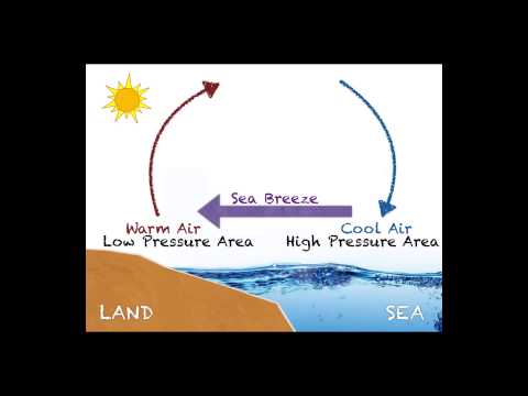 Sea vs Land Breeze