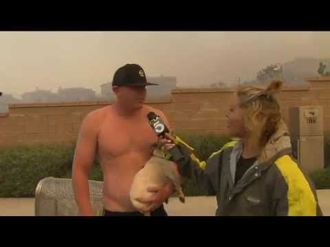 Shirtless Man Asks Out KTLA Anchor During Wildfire 4/30/2014