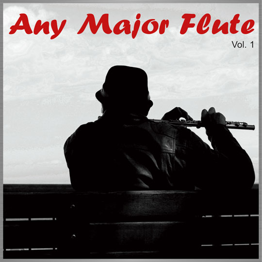 Any Major Flute-1