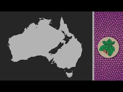 Why isn’t New Zealand part of Australia anyway?