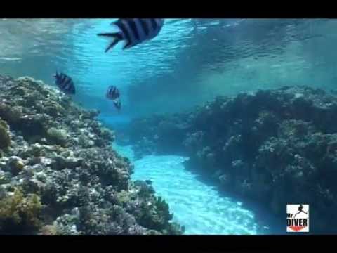 Red Sea, Mar Rosso, Sharm El Sheikh, Ras Mohamed, Gulf of Suez