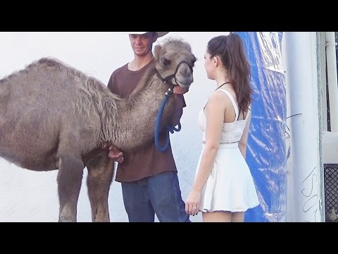 Camel Toe Prank