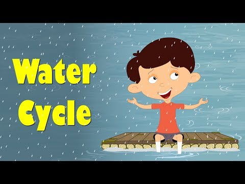 Water Cycle for Kids