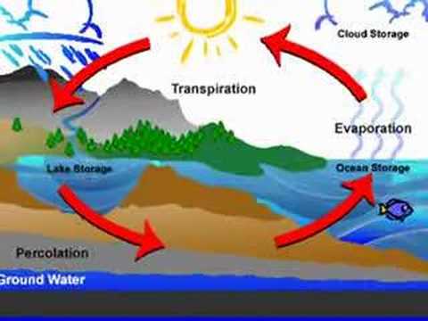 water cycle