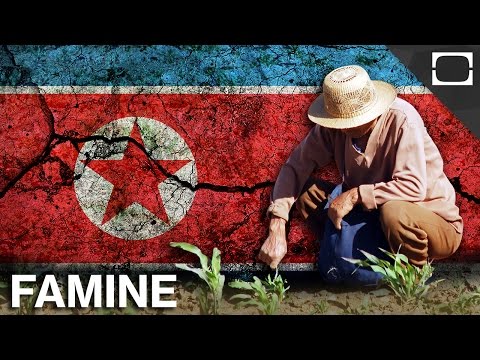 Is The North Korean Government To Blame For Starving Citizens?