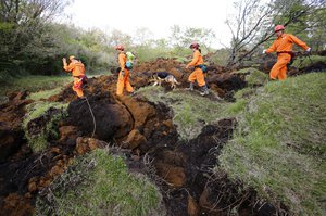 Rescuers and a search dog check the damage around a landslide area caused by earthquakes in Minamiaso, Kumamoto prefecture, Japan, Sunday, April 17, 2016.