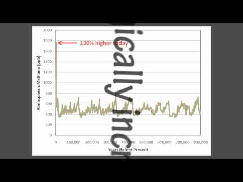 Atmospheric Carbon Dioxide and Interglacial Warmth