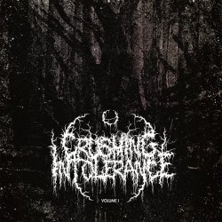 V.A. - Crushing Intolerance (vol 1) (2014)