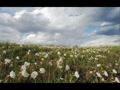 Discover America's heartland, the Great Plains