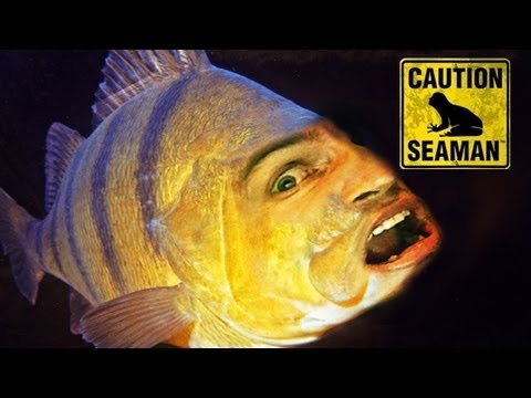 MY SEAMAN CAN TALK! (Day 1)