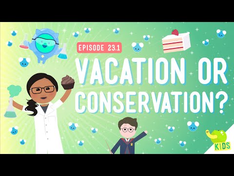 Vacation or Conservation (Of Mass): Crash Course Kids #23.1