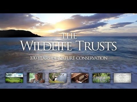 100 years of nature conservation