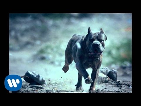 FOALS - What Went Down [Official Music Video]