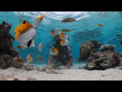 Cook Islands, Diving and Dining Experiences, Holiday travel video guide - Part 2