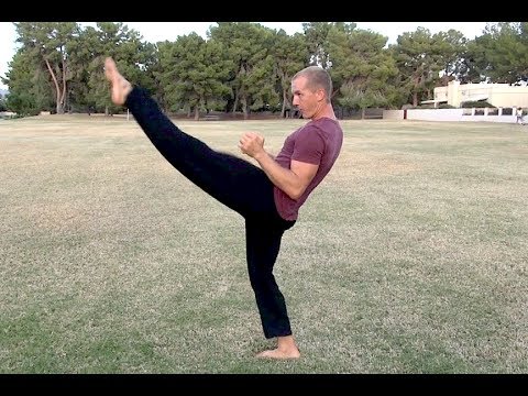 Incredible Kung Fu Kicks!!!