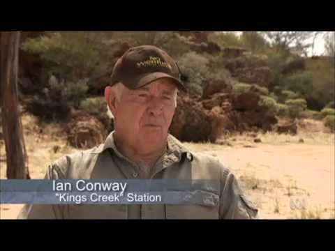 Camel Cull in Australia -  Landline ABC Tahmina Ansari