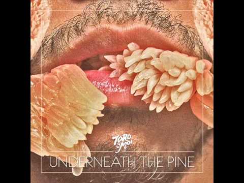 Toro Y Moi - Divina