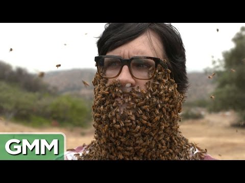 10,000 Bees Beard