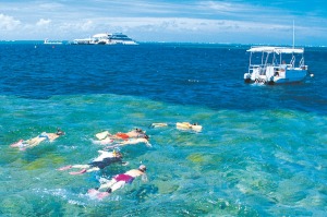 A guided snorkelling tour of the Low Isles in Tropical North Queensland.