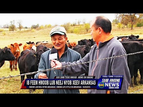 SUAB HMONG NEWS:  Some of Hmong Families Life Style in Arkansas