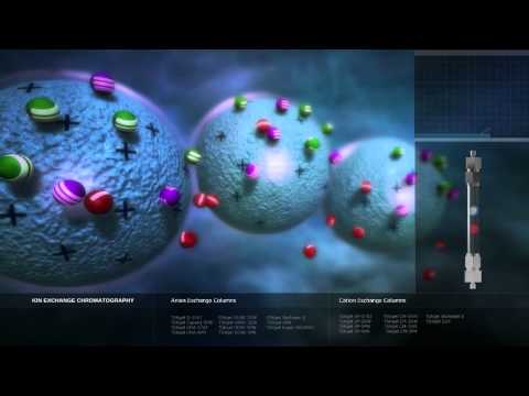 Ion Exchange Chromatography