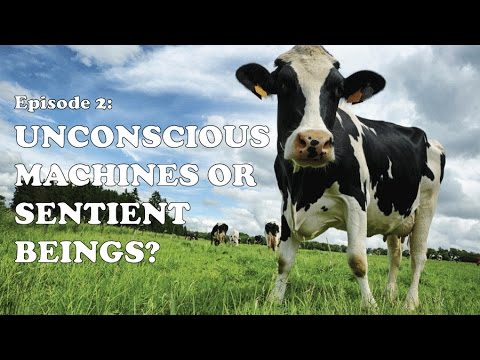 Unconscious Machines or Sentient Beings?