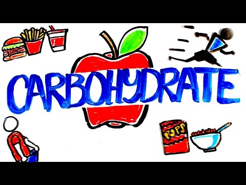 What is Carbohydrate?