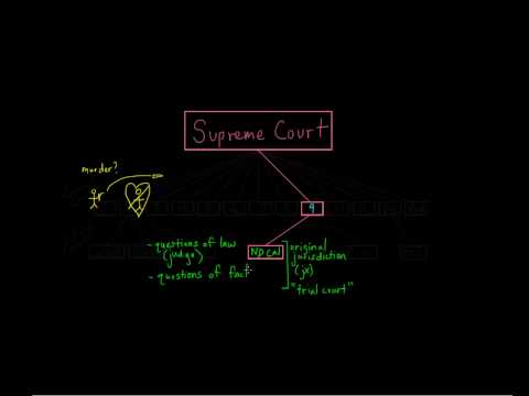 9. District Court (Trial Court)