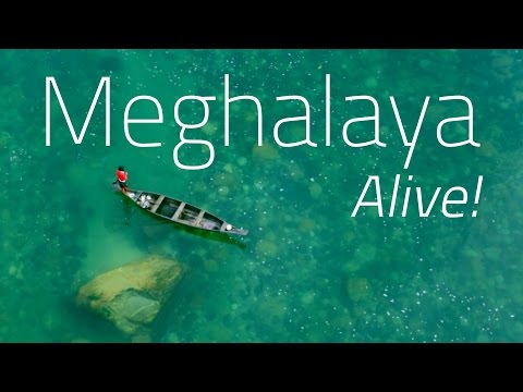 Meghalaya Alive!