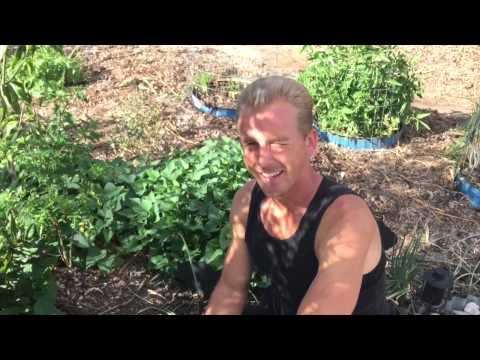 Epic Yard Farm - Garden Tour Spring 2015 - Phoenix & Tempe Arizona