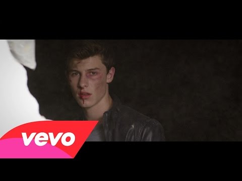 Shawn Mendes - Stitches (Official Video)