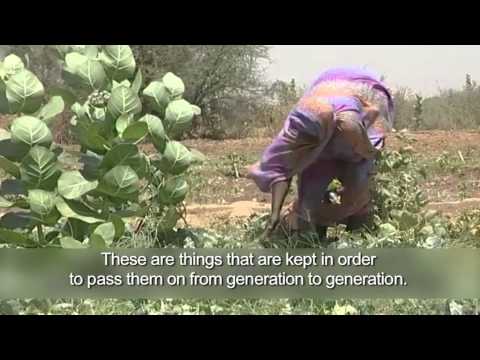 Literacy in Fula Language in Senegal