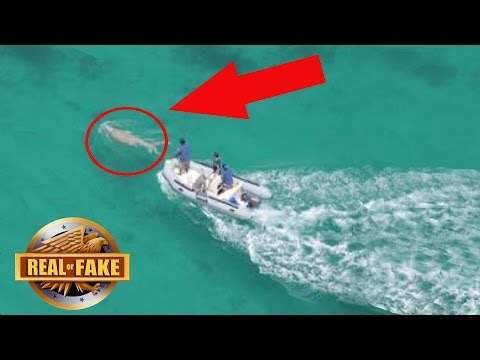 MERMAID CAUGHT ON TAPE PHILIPPINES - REAL OR FAKE?