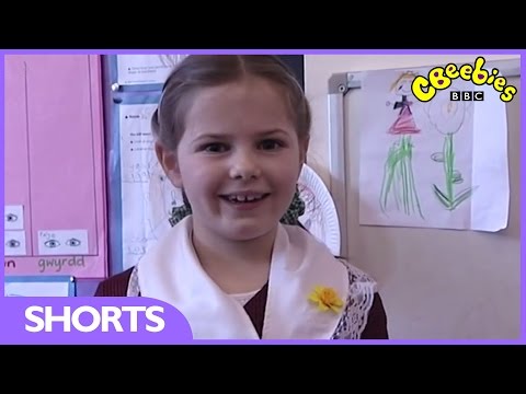 CBeebies - Preparing For St David's Day - Let's Celebrate