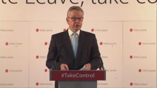 Comment: Gove: Remain campaign treats people like children