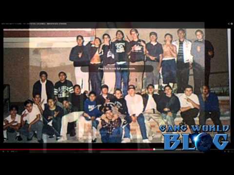 Vineland Boyz 13 Gang History (San Fernando Valley)