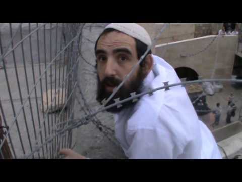 Hebron - Settler attempts to take down Palestinian flag, 2014