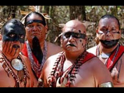 The Cherokee Indians -- Native Americans