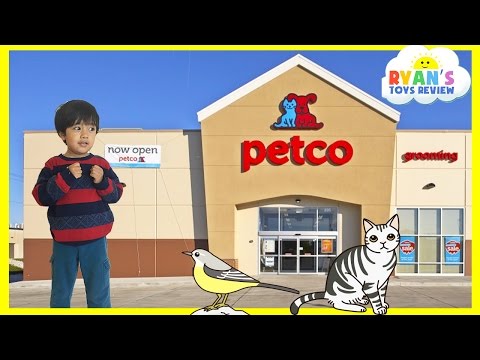 Family Fun Trip to PetCo Animals for Kids Children and Toddlers Ryan ToysReview