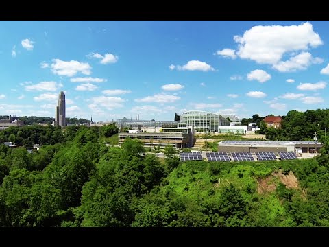 University of Pittsburgh Campus | PittLiveWire