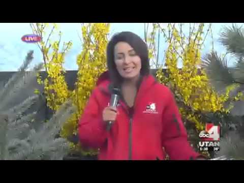 ABC4 Utah News 3.22.16