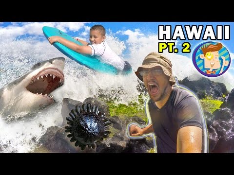 Mike Gets Stuck in Hawaii! Shark Fears & Chilling w/ Fans (FUNnel Vision Trip - Maui Part 2) #TheCar