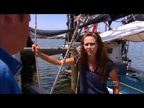 60 Minutes - BP Oil Disaster "Poison Tide"