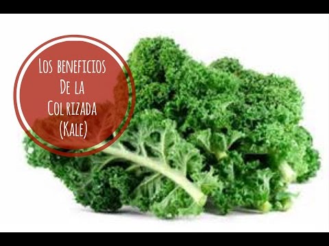 17 BENEFICIOS DE LA COL RIZADA ( KALE). NUTRIVLOGS. ASESORIA NUTRICIONAL